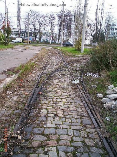 Macaz Expozitiei.jpg