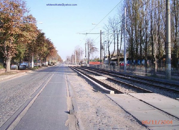 linia 35.jpg